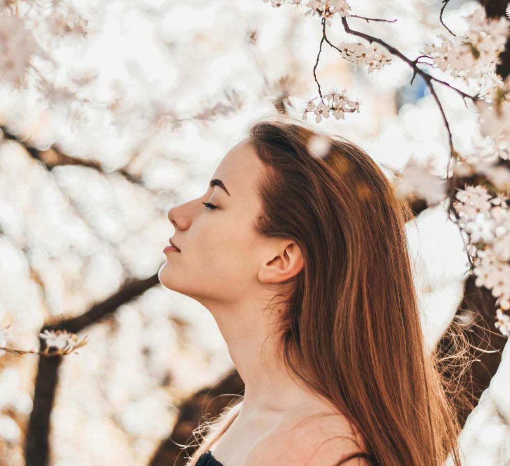 Visualisierung des Erfolges